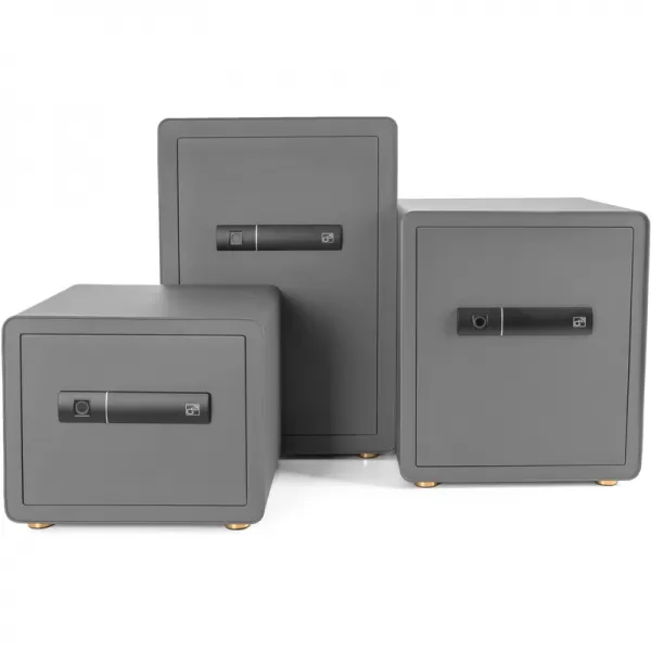 Trezor G21 na otisk prstu 380 x 310 x 300 mm 63922103
