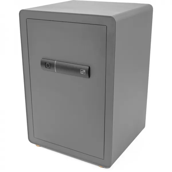 Trezor G21 na otisk prstu 420 x 600 x 380 mm 63922105