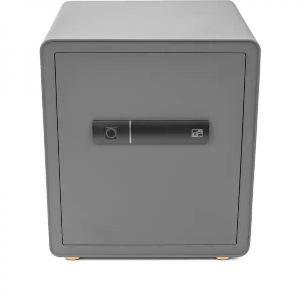 Trezor G21 na otisk prstu 400 x 450 x 350 mm 63922104