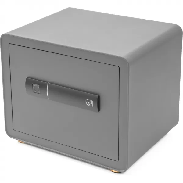 Trezor G21 na otisk prstu 380 x 310 x 300 mm 63922103