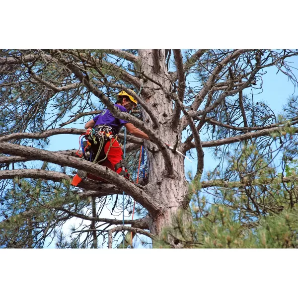 Ruční pila TSURUGI CURVE 330-7,5 Silky KSI345433