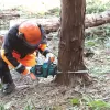 Aku řetězová pila 350 mm Li-ion XGT 40V bez aku Makita UC022GZ